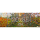 Płótno panoramiczne 20x55 cm