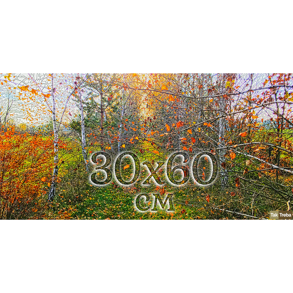 Płótno panoramiczne 30x60 cm