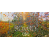 Panoramic canvas 30x60 cm