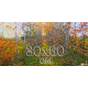 Płótno panoramiczne 30x60 cm