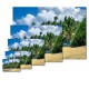 Photo 6x9 cm