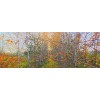 Canvas 20x55 cm