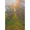 Canvas 40x60 cm