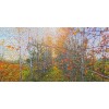 Canvas 30x60 cm