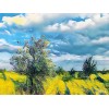 UV printing 30x40 cm on 3mm PVC
